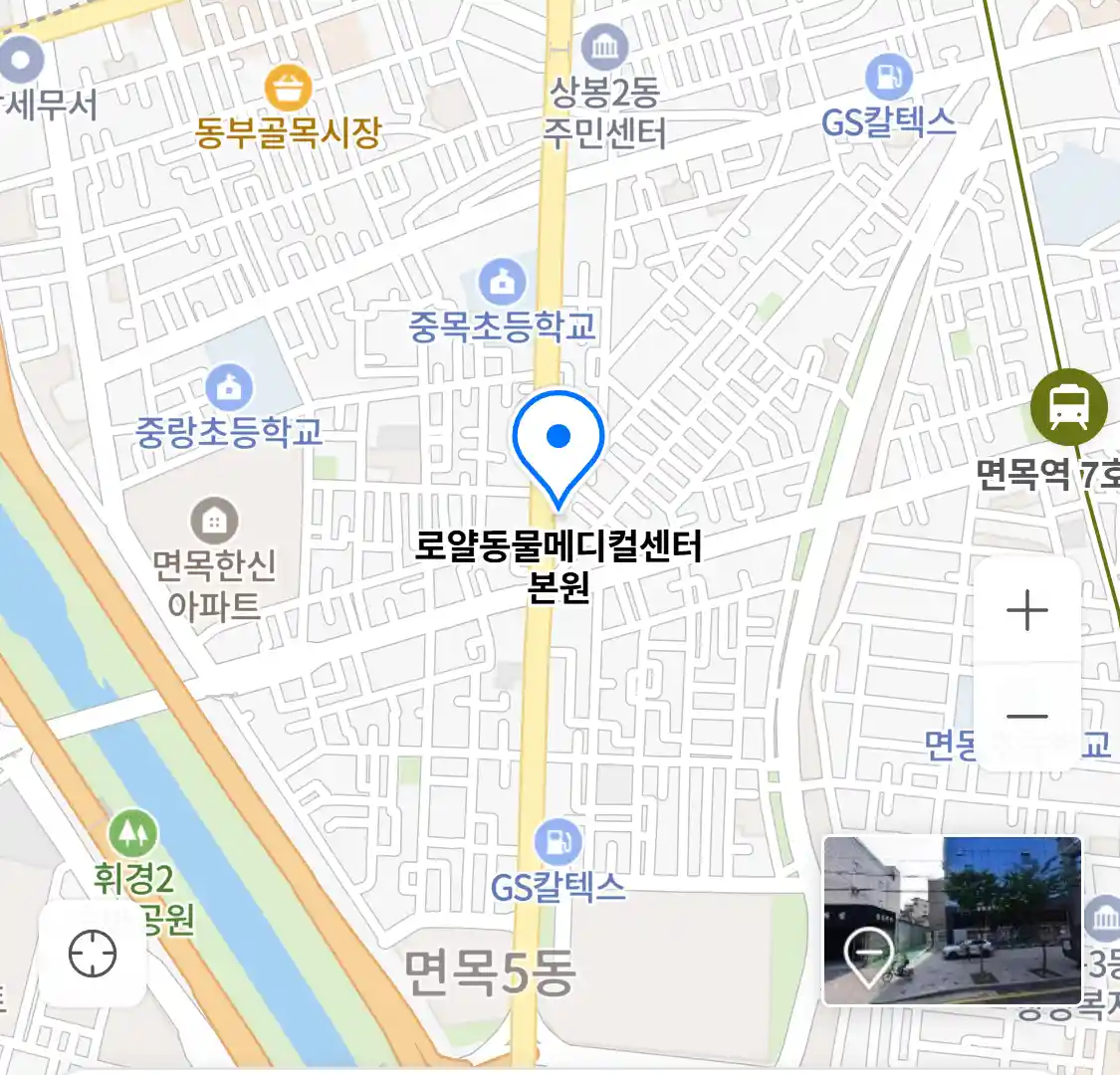 로얄동물메디컬센터 본원 위치