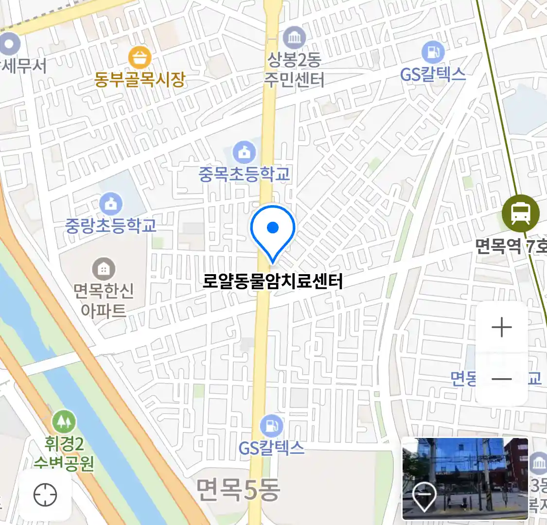 로얄동물암치료센터 위치