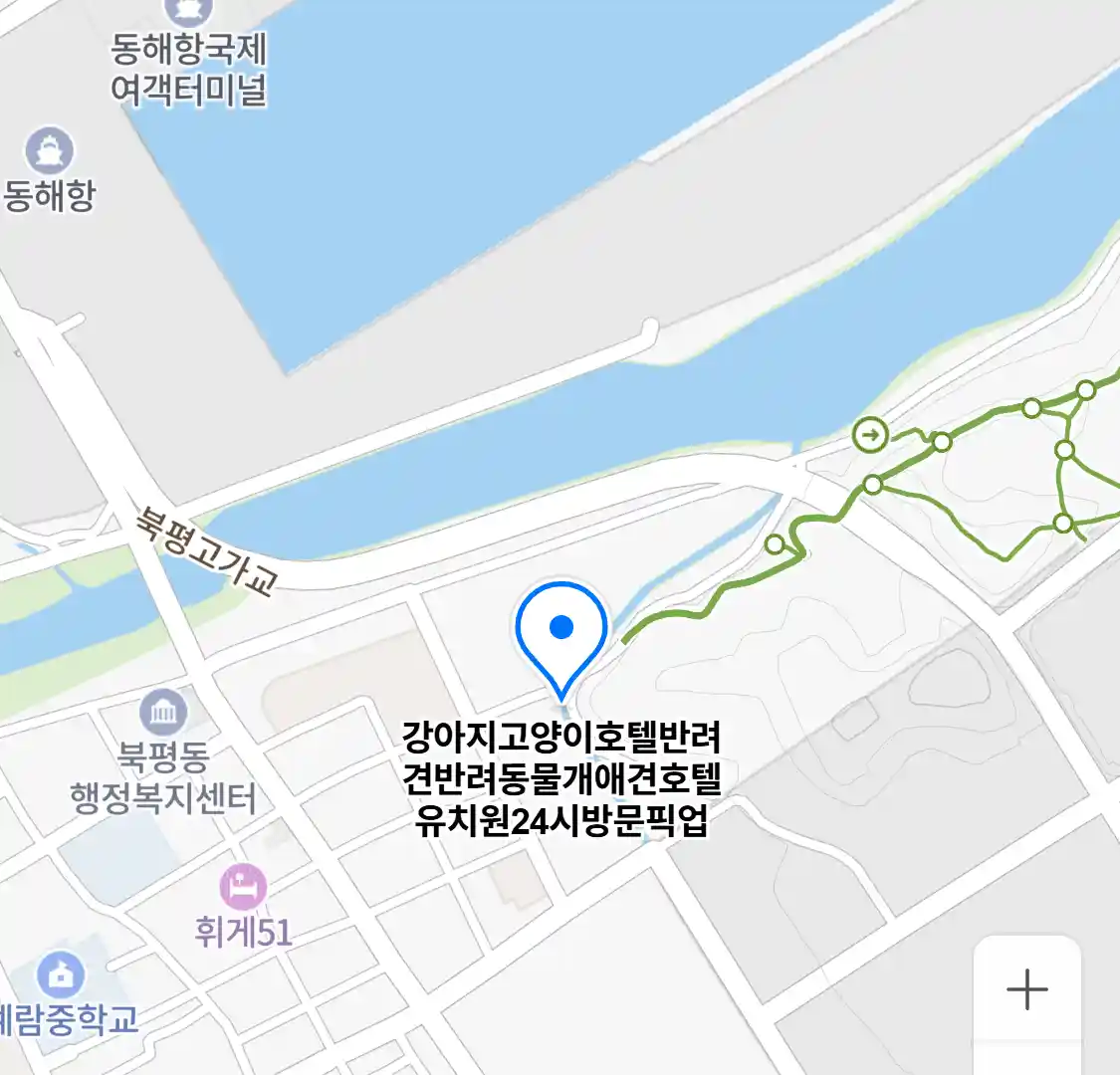 강아지고양이호텔반려견반려동물개애견호텔유치원24시방문픽업 위치