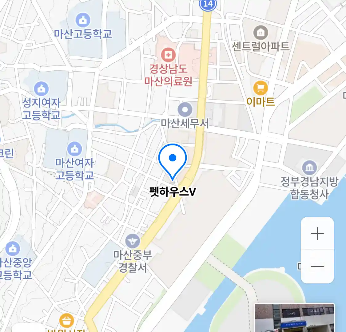 펫하우스V 위치