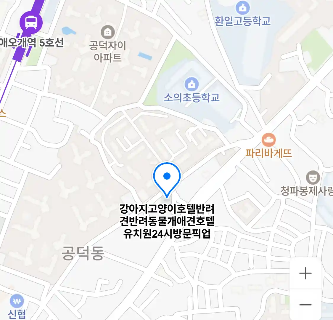 강아지고양이호텔반려견반려동물개애견호텔유치원24시방문픽업 위치