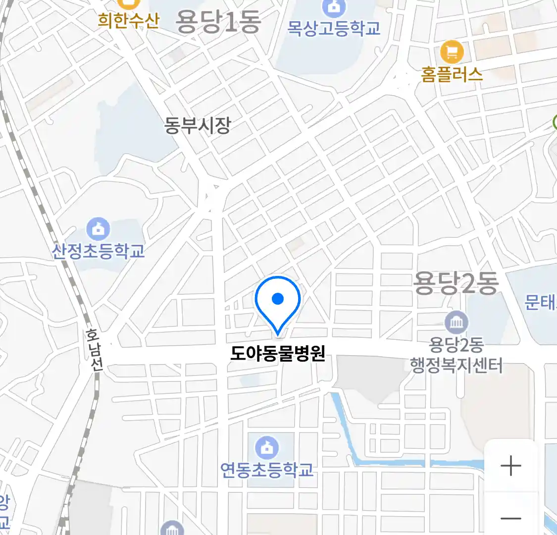 도야동물병원 지도