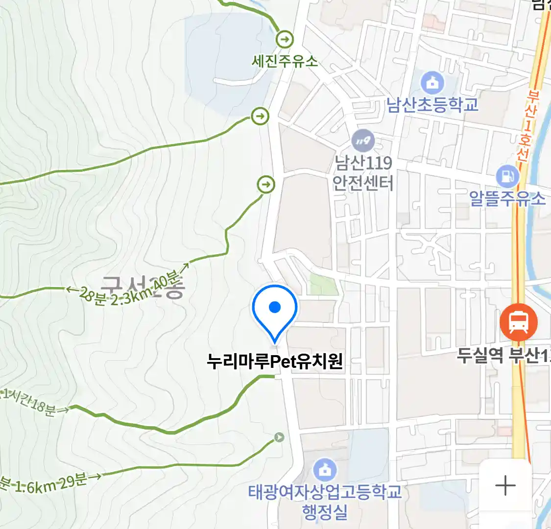 누리마루Pet유치원 위치