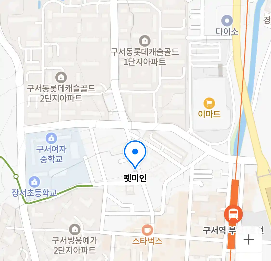 펫미인 위치