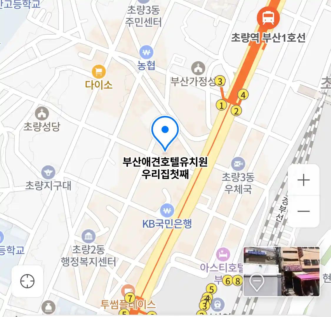부산애견호텔유치원 우리집첫째 위치