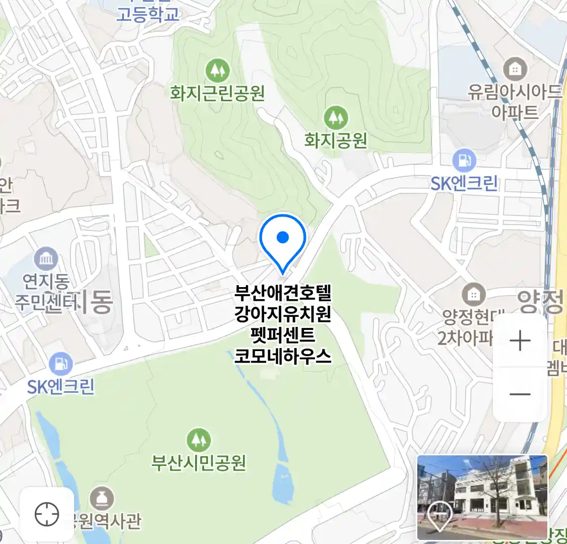 부산애견호텔 강아지유치원 펫퍼센트 코모네하우스 위치