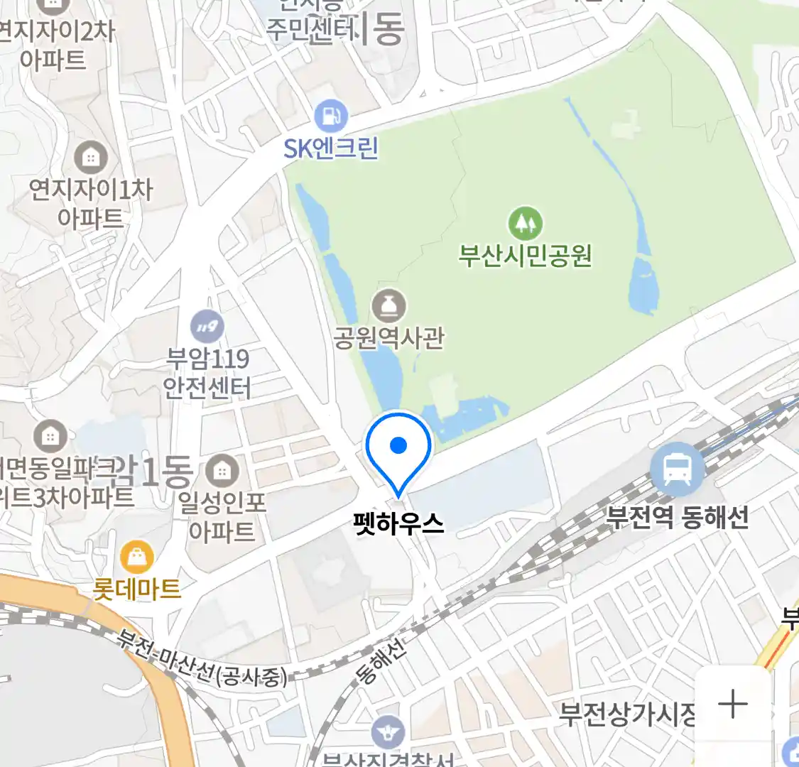 펫하우스 위치