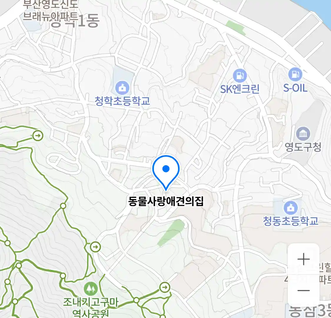 동물사랑애견의집 위치