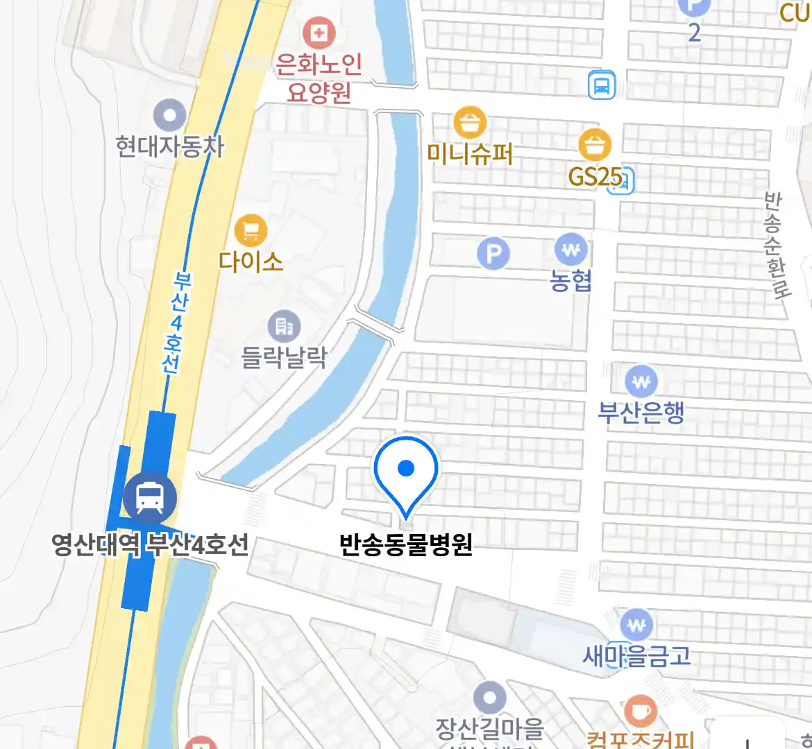 반송동물병원 위치