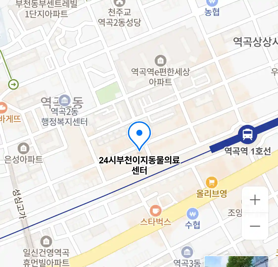 24시부천이지동물의료센터 위치