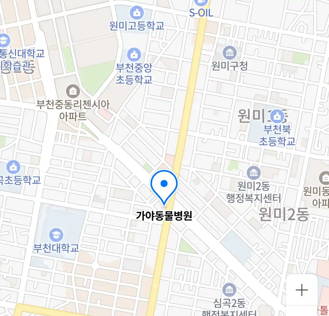 가야동물병원 위치