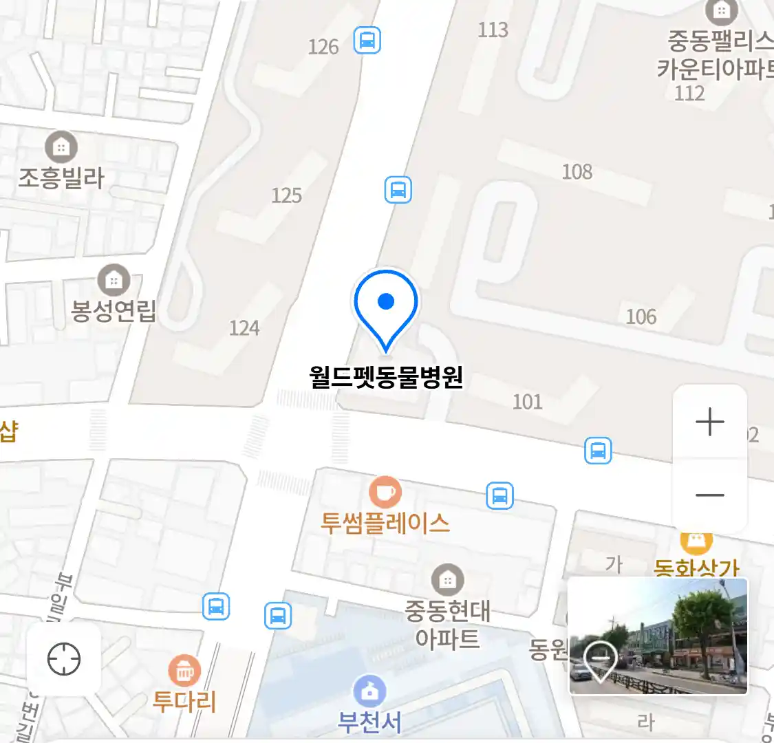 월드펫동물병원 위치