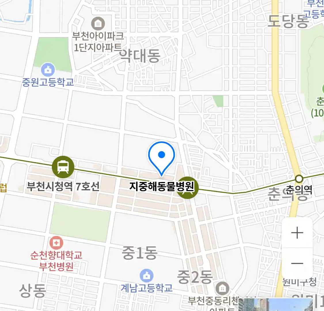 지중해동물병원 위치