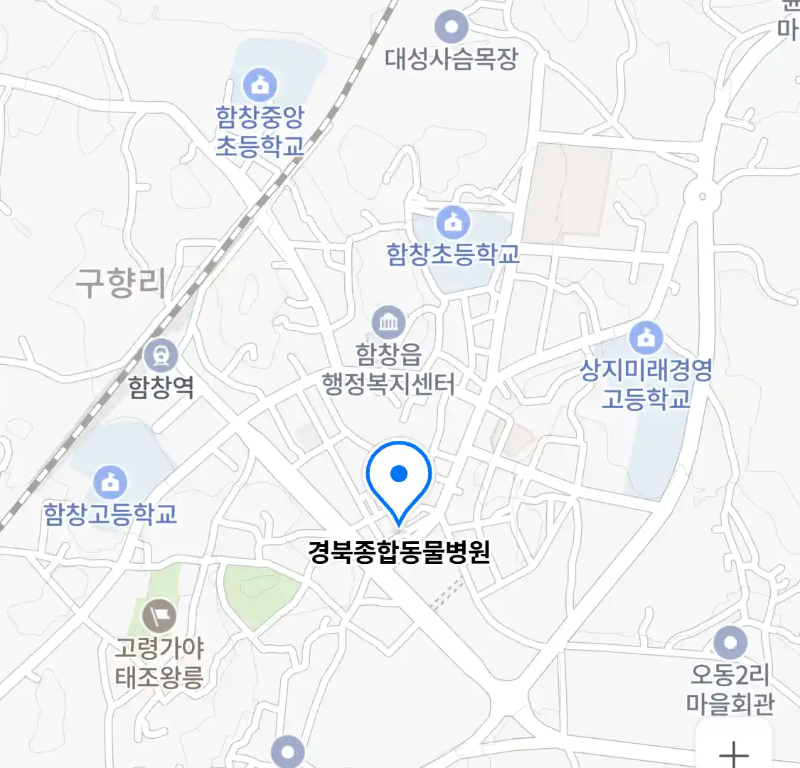 경북종합동물병원 위치