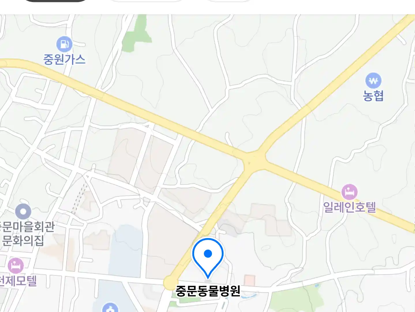중문동물병원 위치