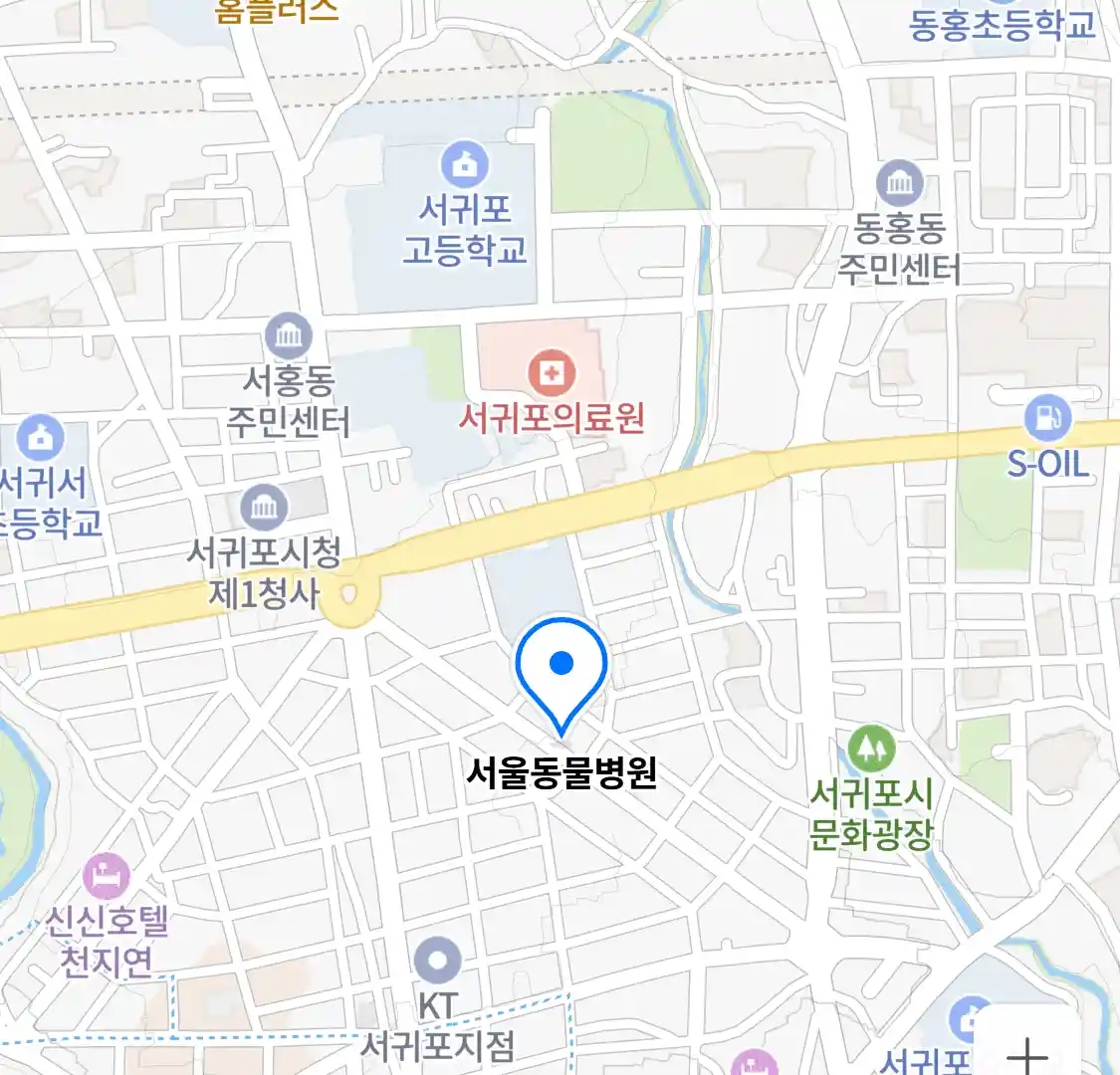 서울동물병원 위치