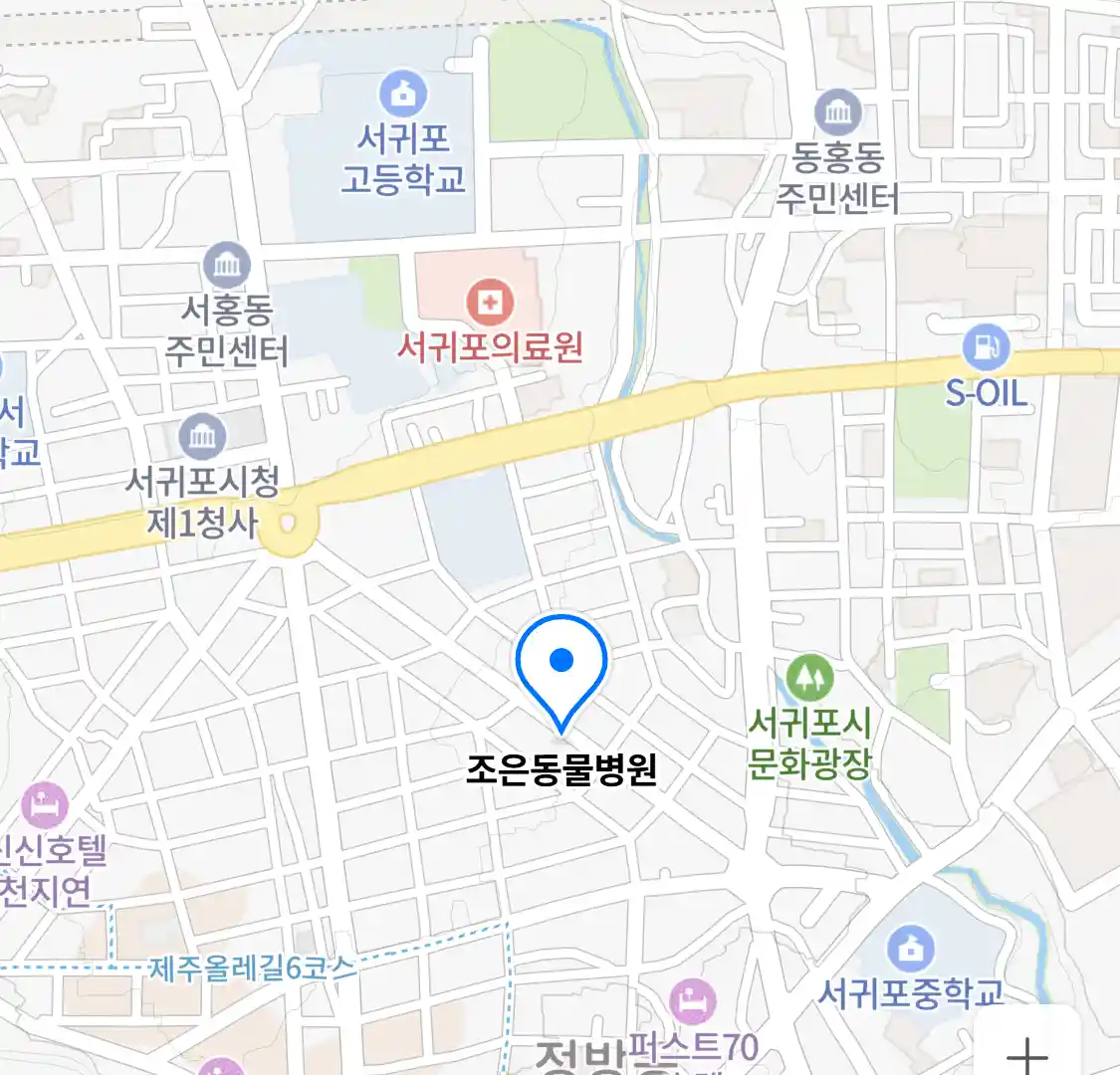 조은동물병원 위치