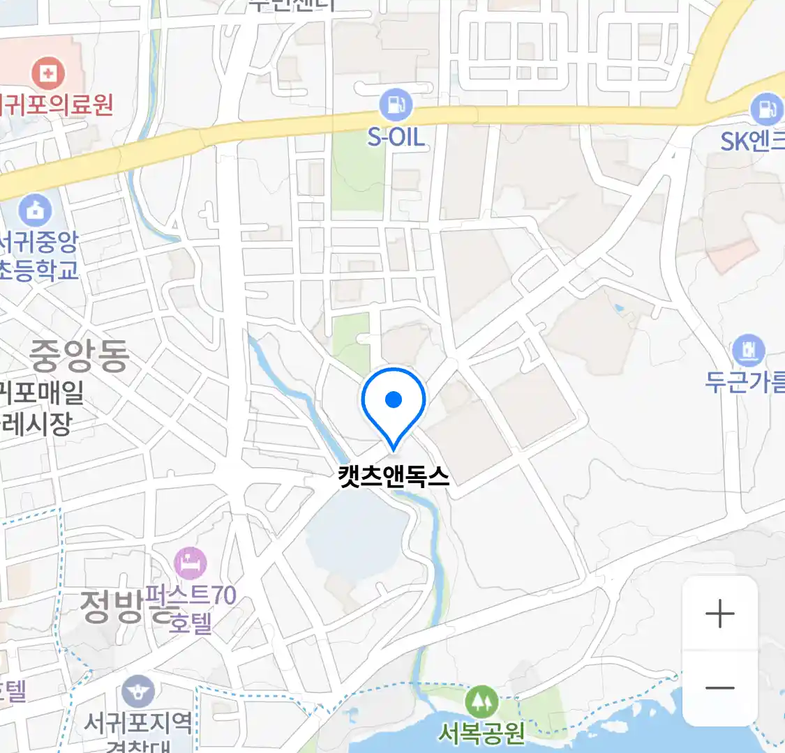 캣츠앤독스 위치