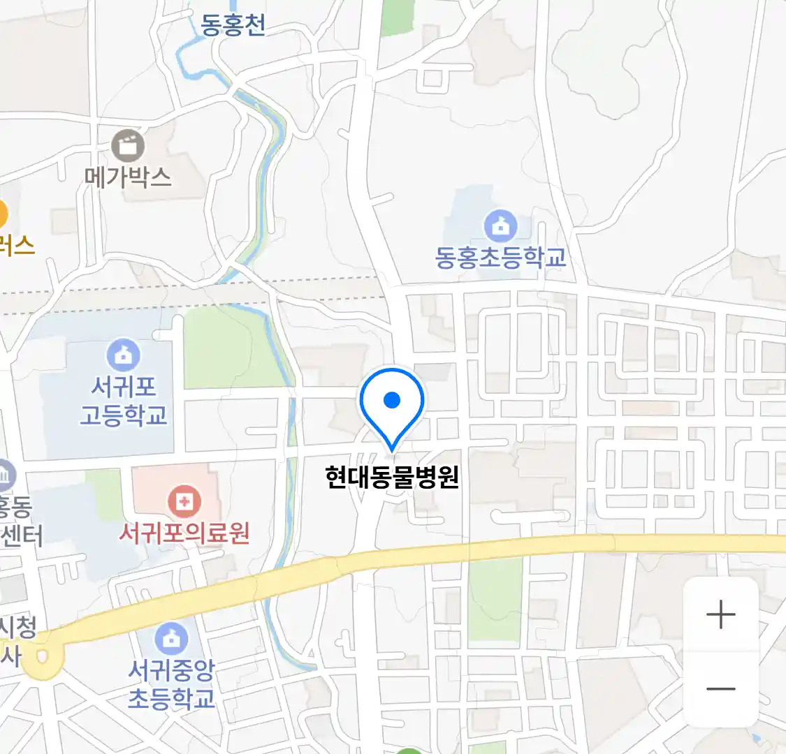 현대동물병원 위치