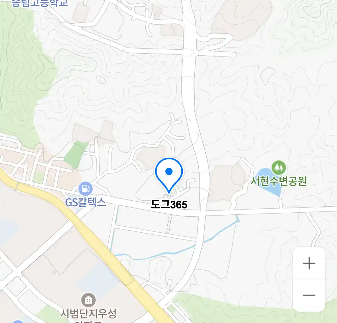도그365 위치