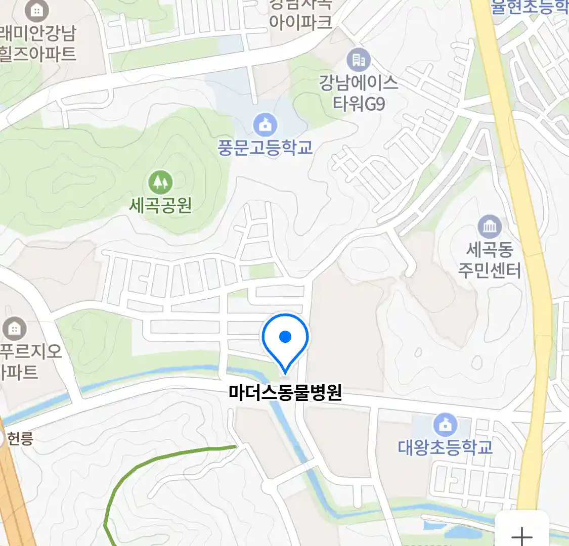 마더스동물병원 위치