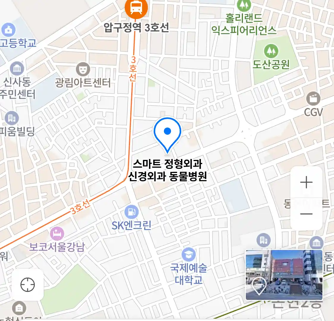 스마트 정형외과 신경외과 동물병원 지도
