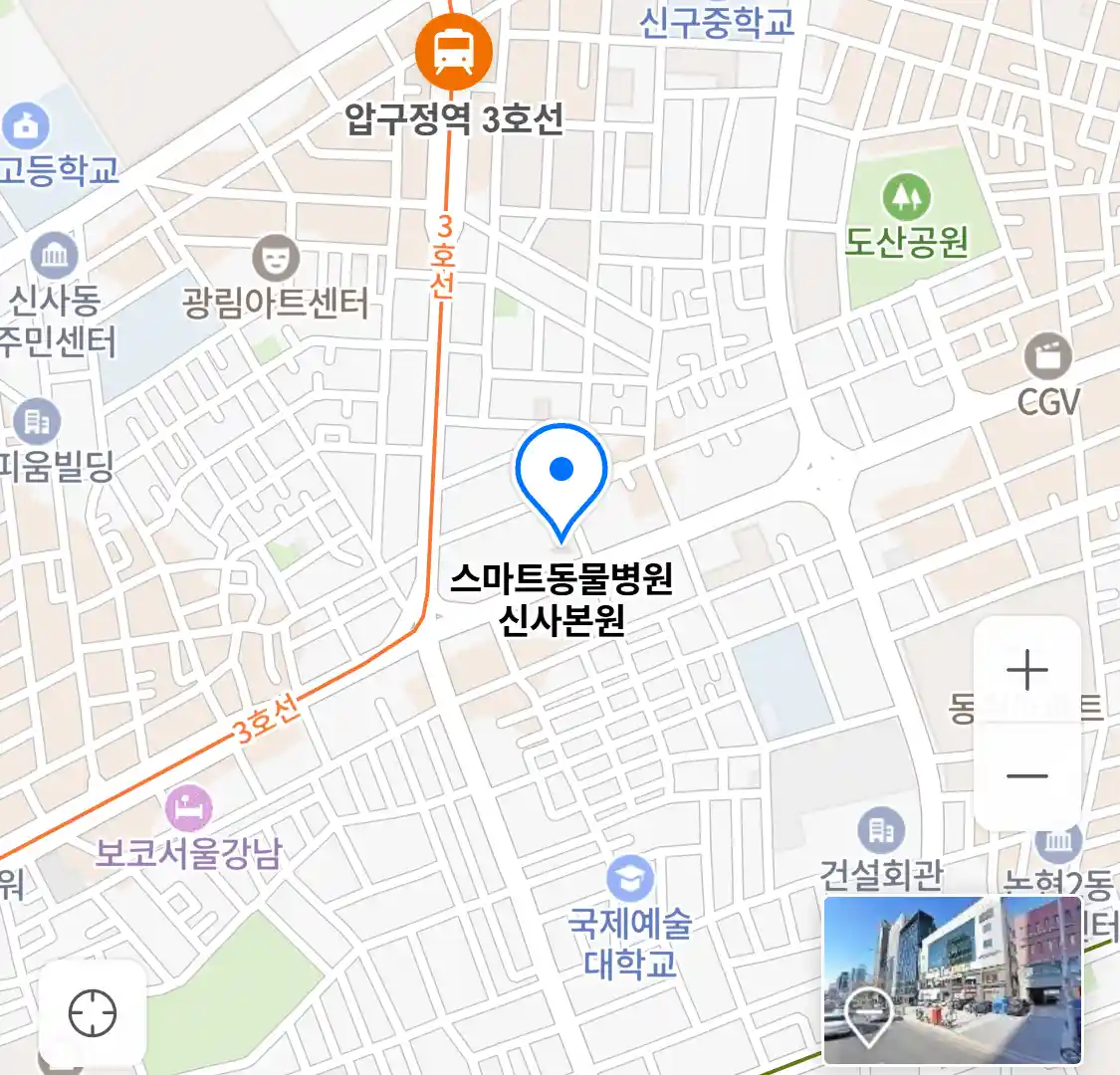 스마트동물병원 신사본원 지도