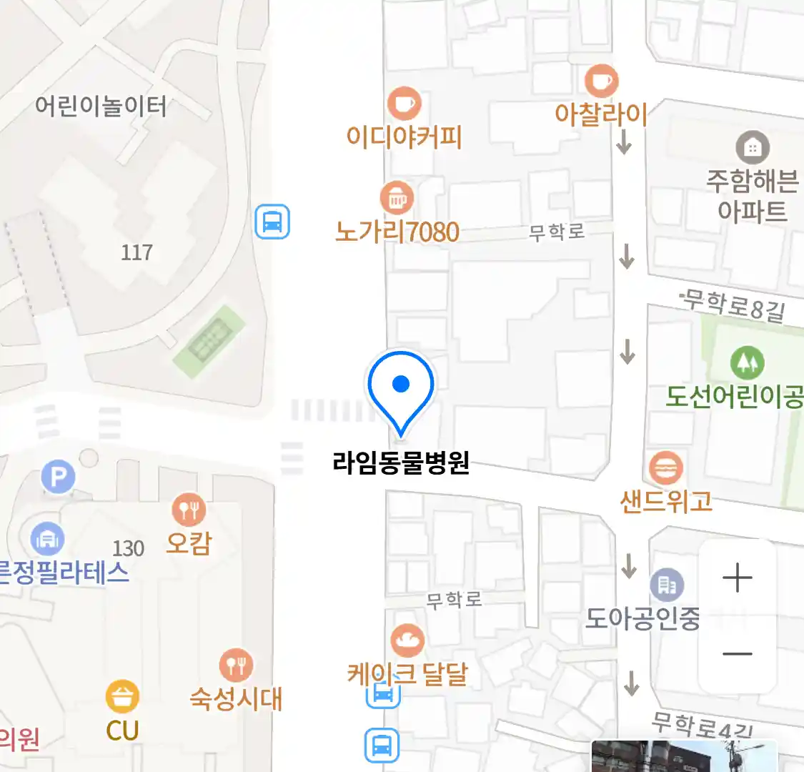 라임동물병원 위치