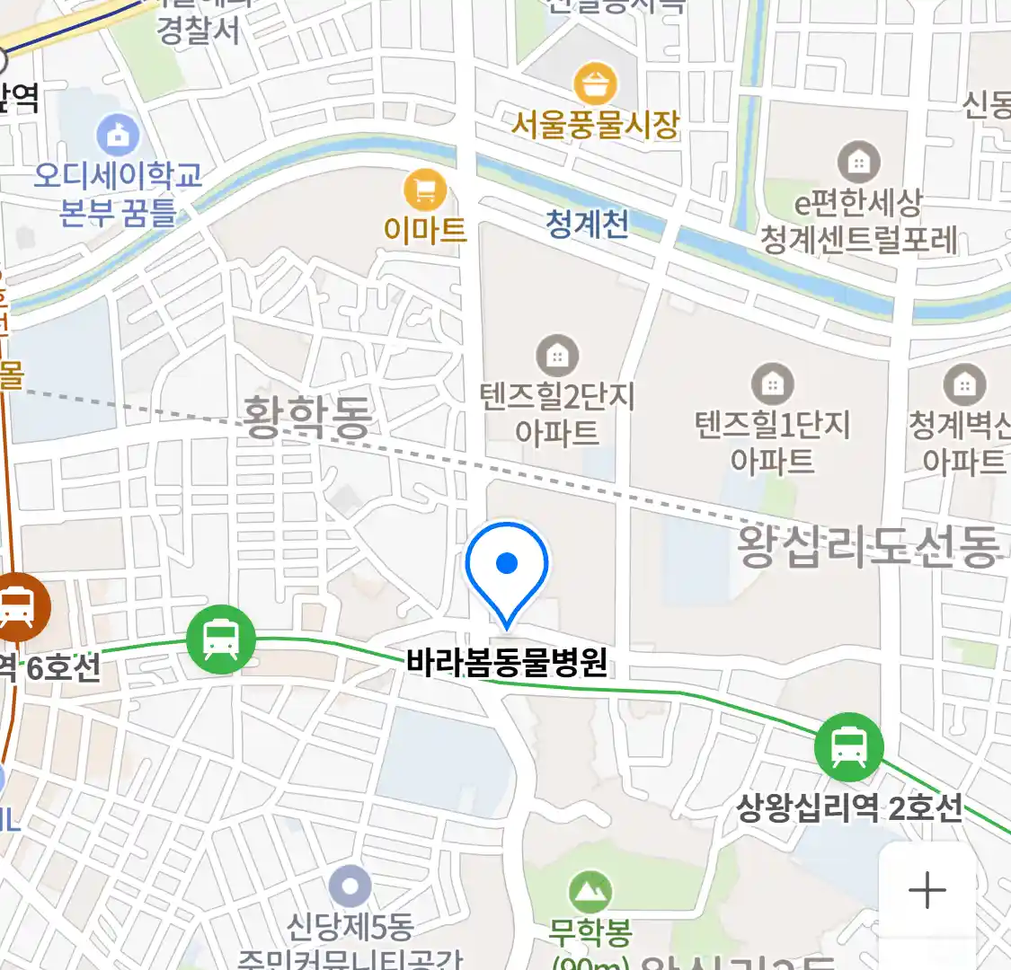 바라봄동물병원 위치