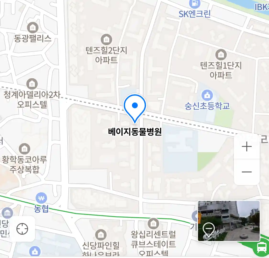 베이지동물병원 위치