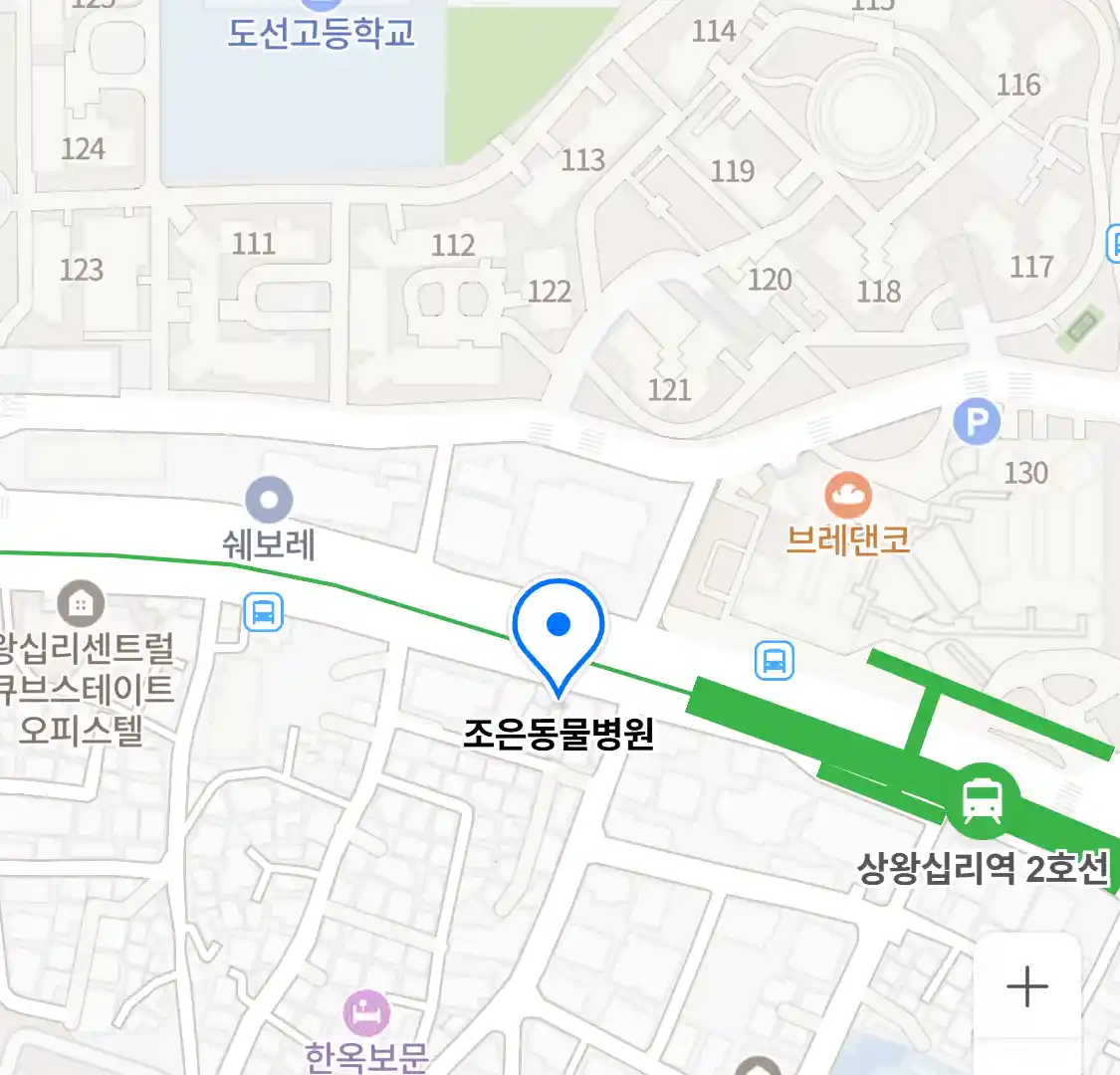 조은동물병원 위치