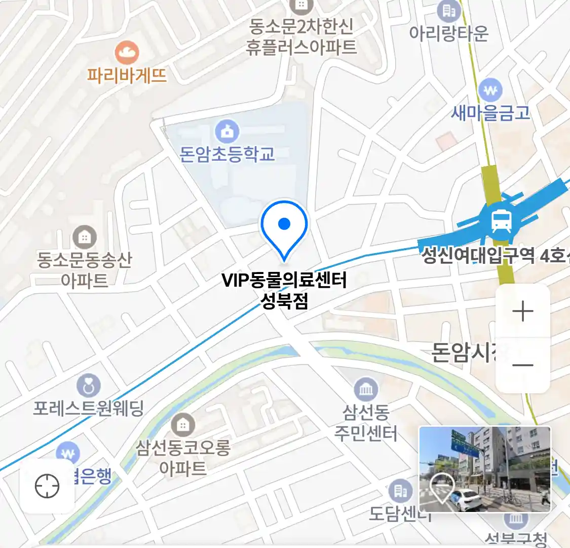 VIP동물의료센터 성북점 위치