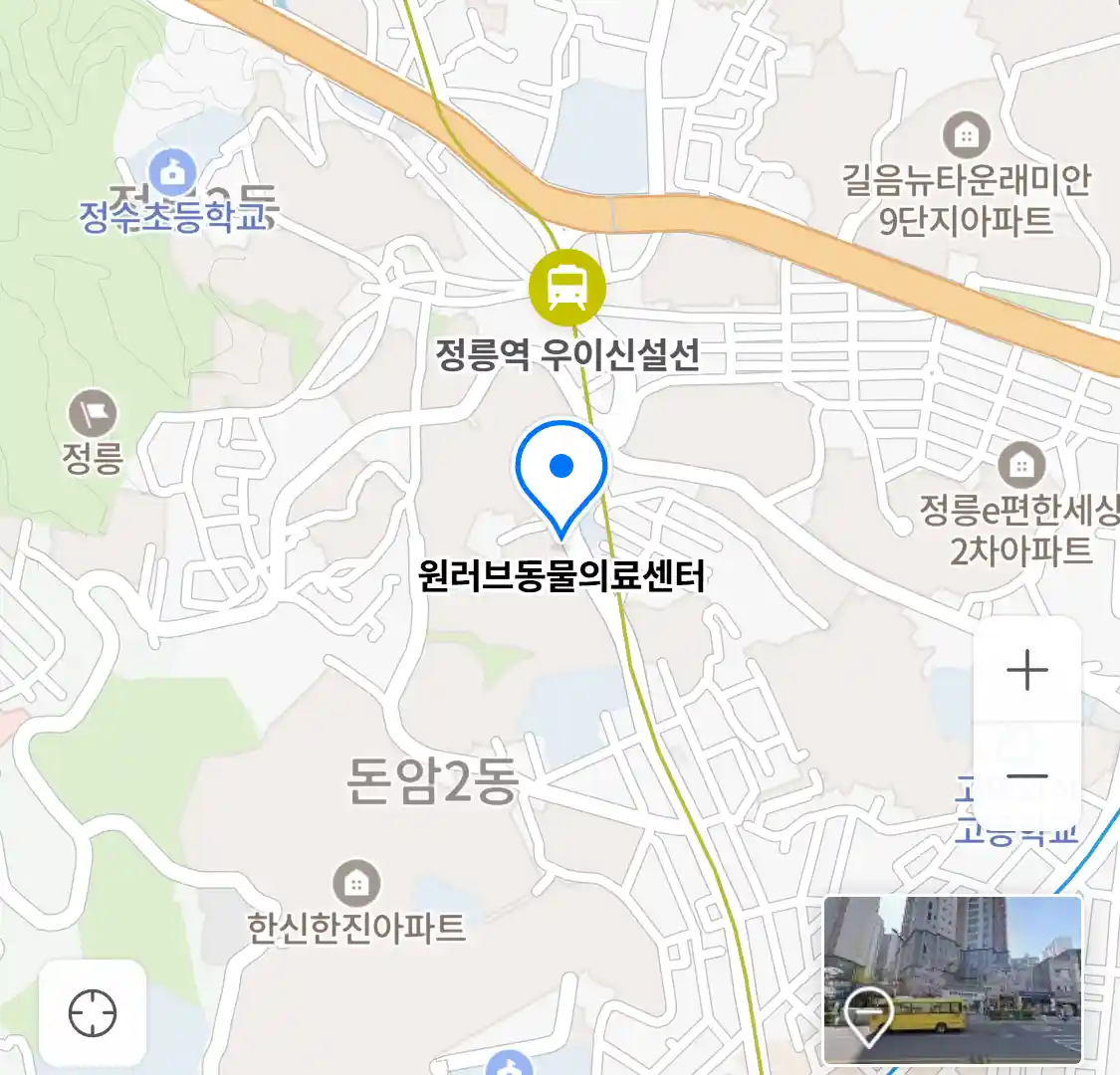 원러브동물의료센터 위치