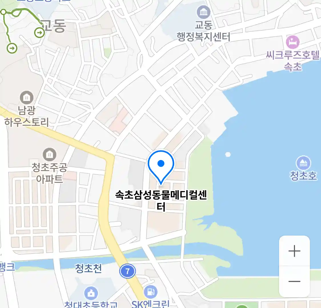 속초삼성동물메디컬센터 위치