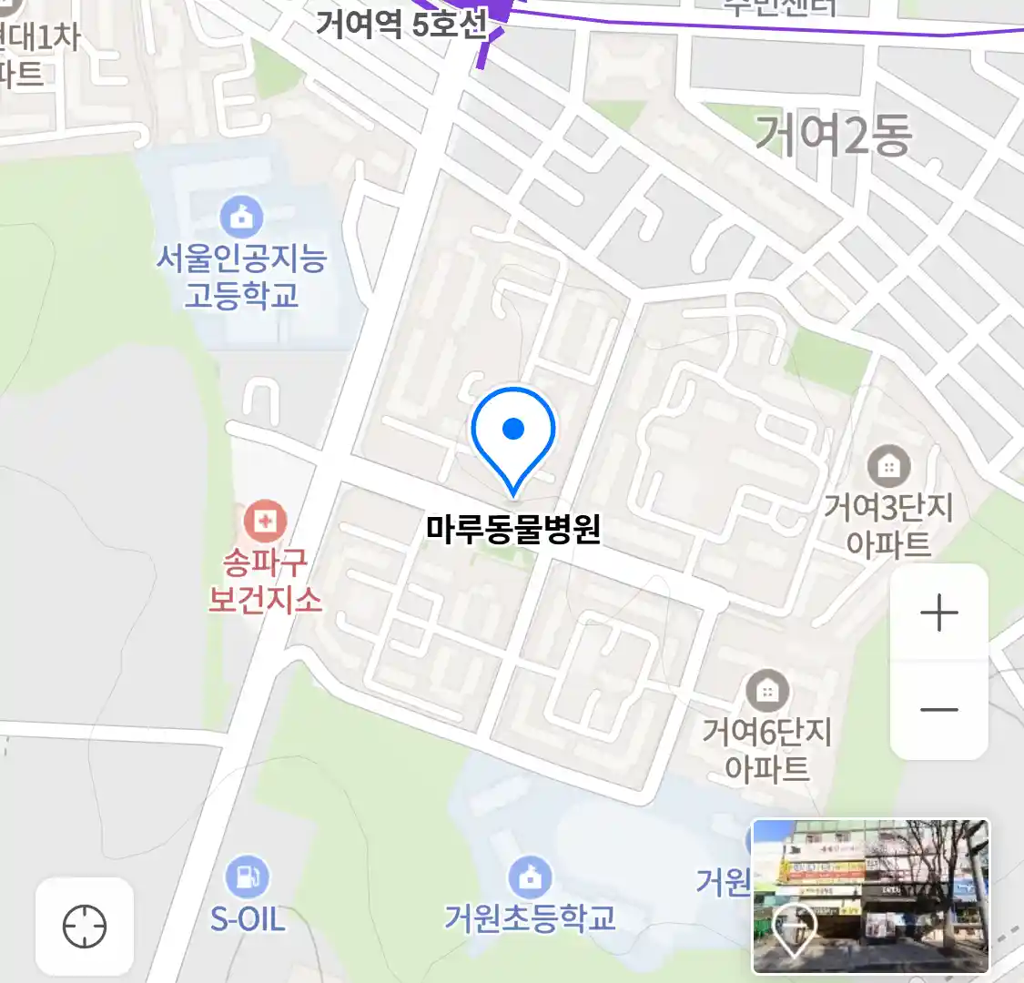 마루동물병원 위치
