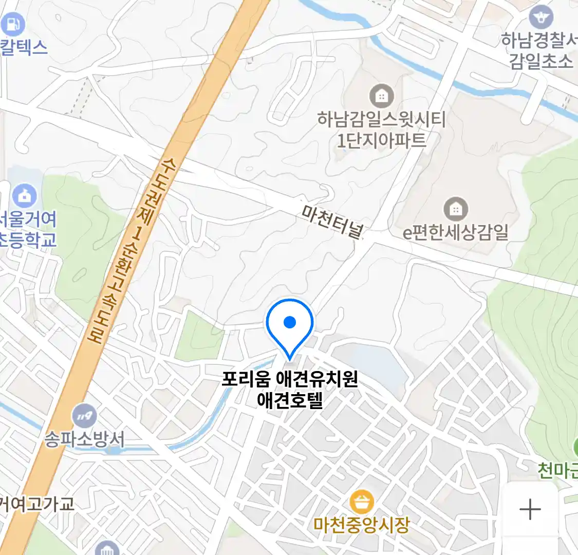 포리움 애견유치원 애견호텔 위치