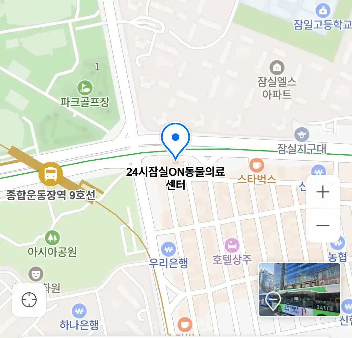 24시잠실ON동물의료센터 지도