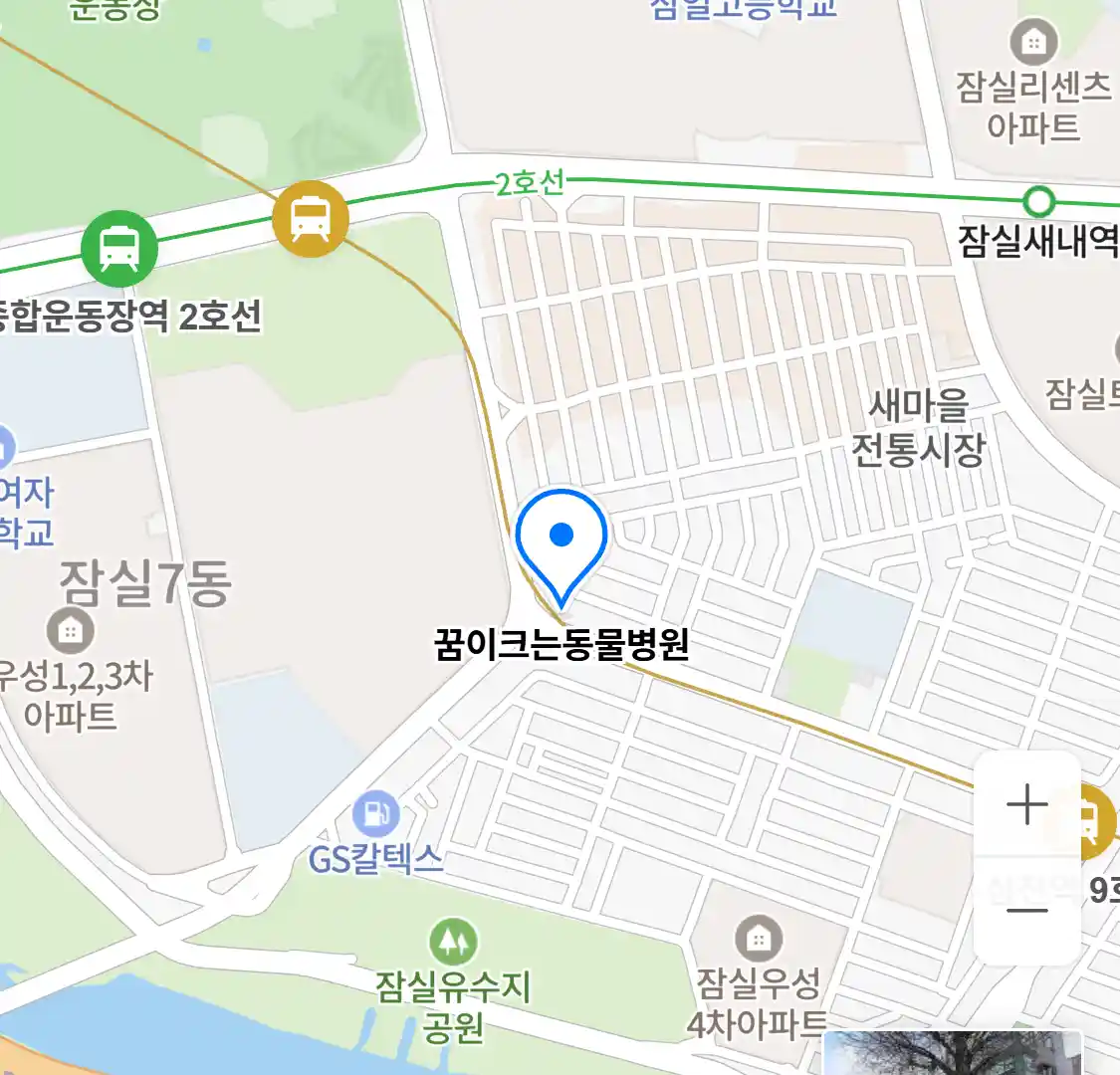 꿈이크는동물병원 지도