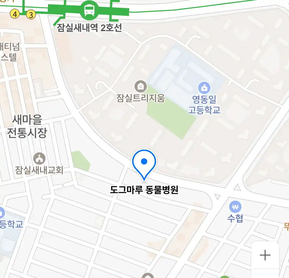 도그마루 동물병원 지도