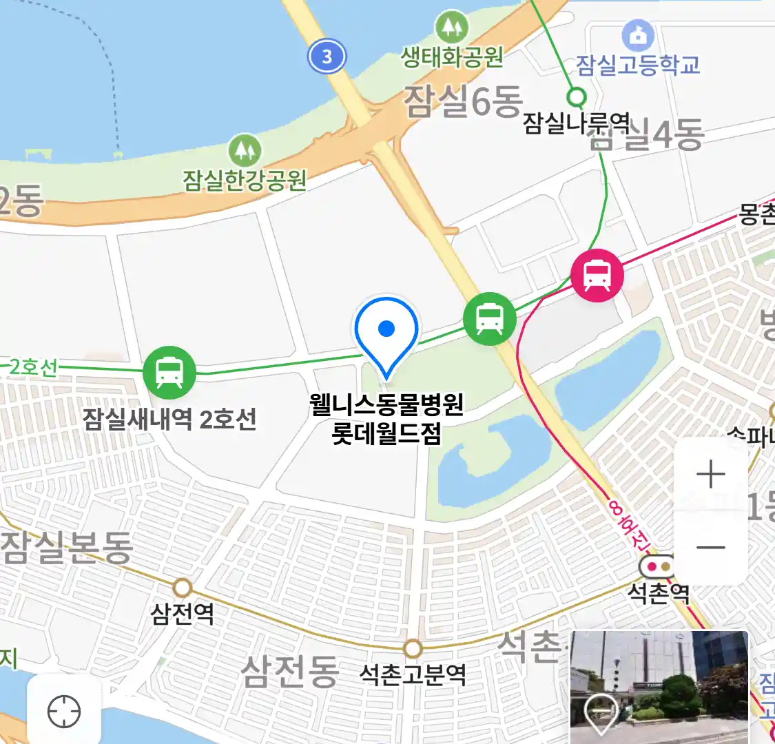 웰니스동물병원 롯데월드점 지도