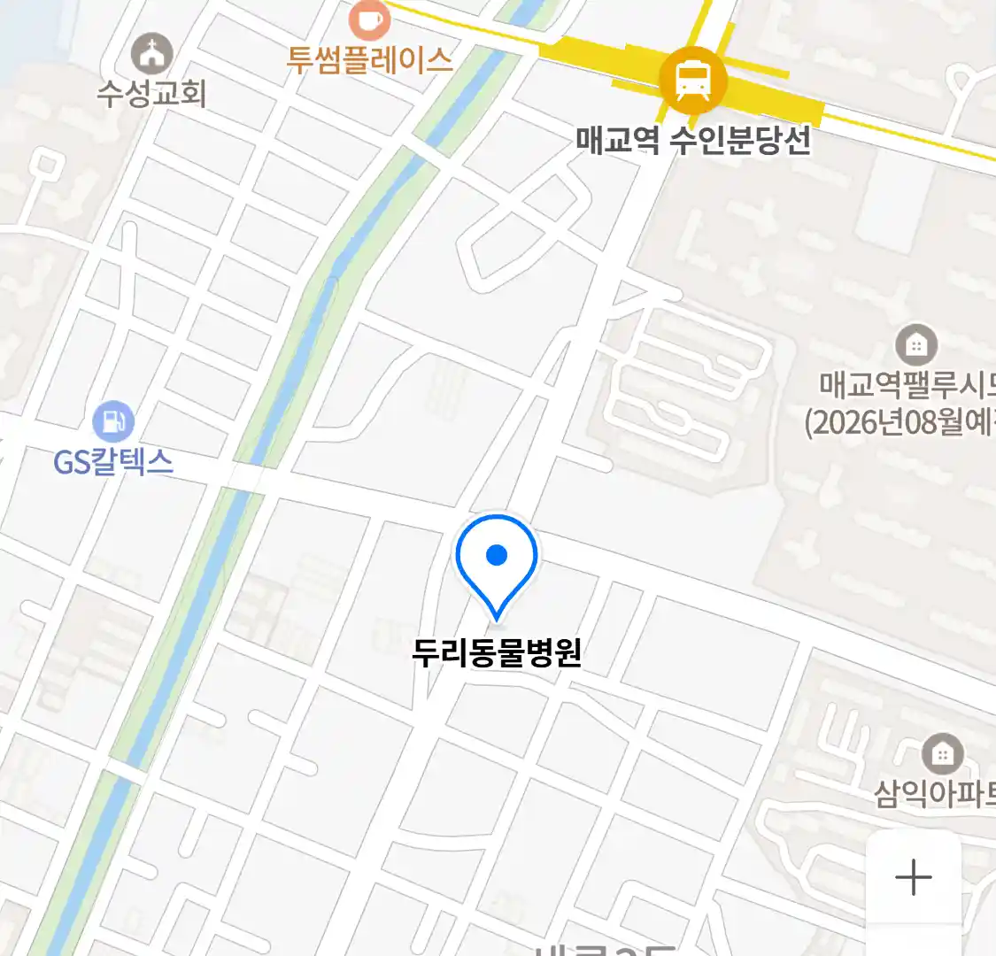 두리동물병원 위치