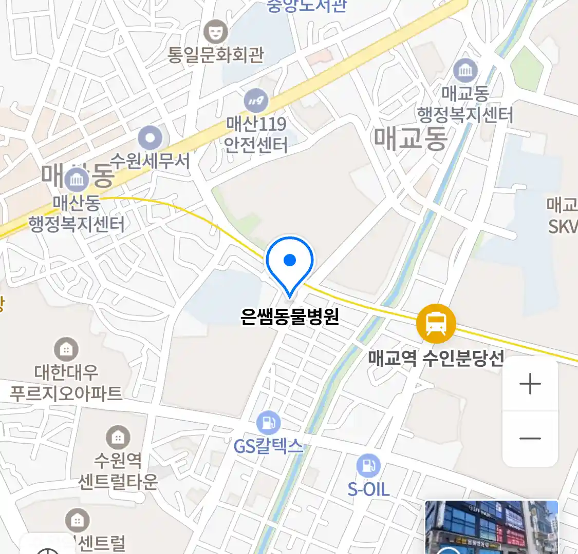 은쌤동물병원 위치