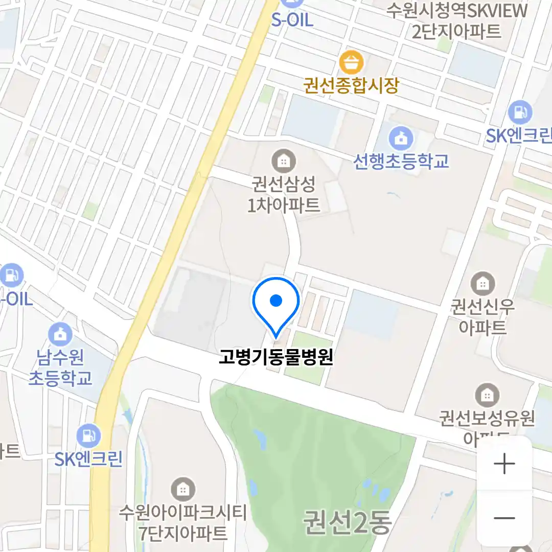 고병기동물병원 위치