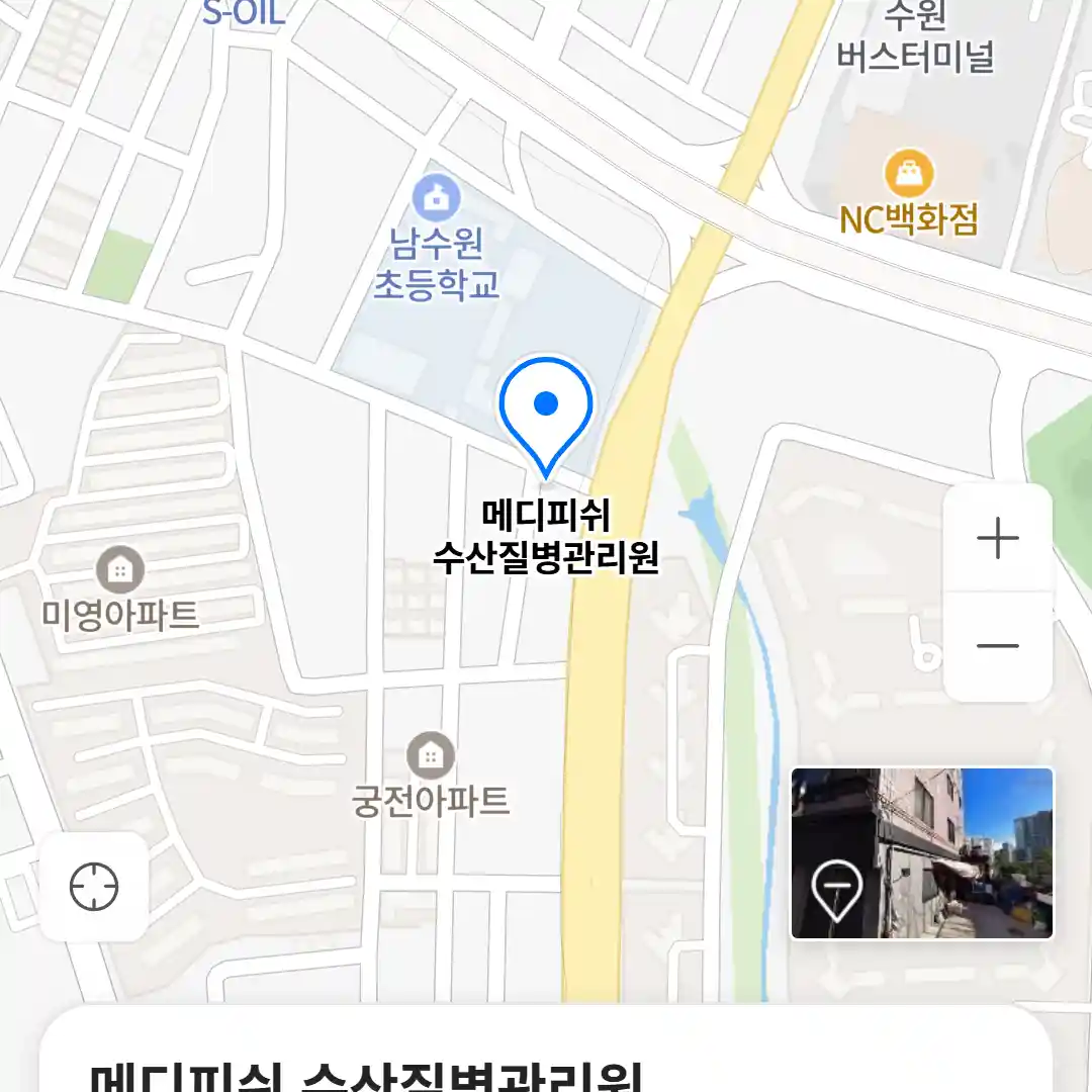 메디피쉬 수산질병관리원 위치