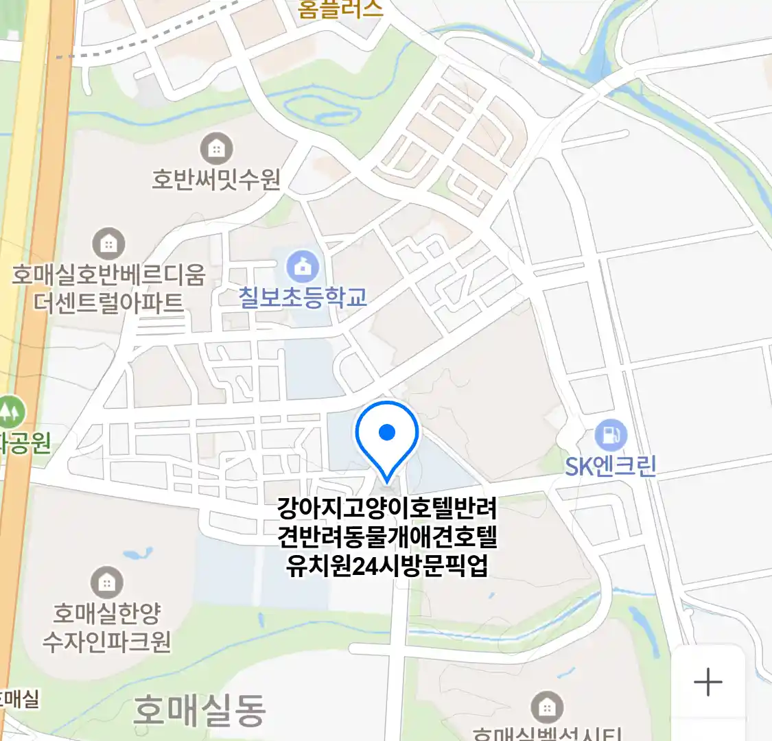 강아지고양이호텔반려견반려동물개애견호텔유치원24시방문픽업 위치