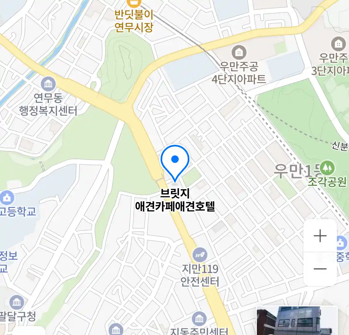 브릿지 애견카페애견호텔 위치