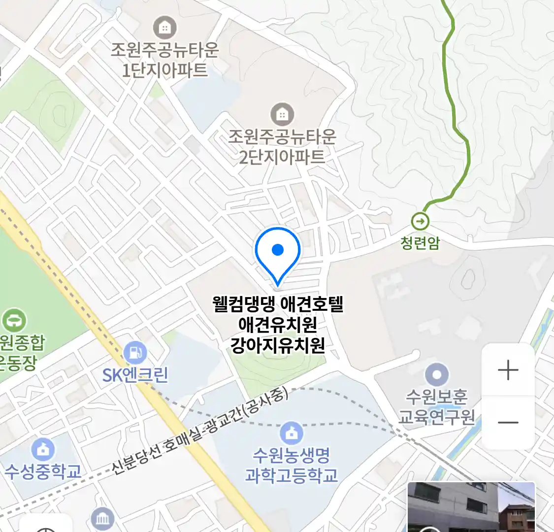 웰컴댕댕 애견호텔 애견유치원 강아지유치원 위치