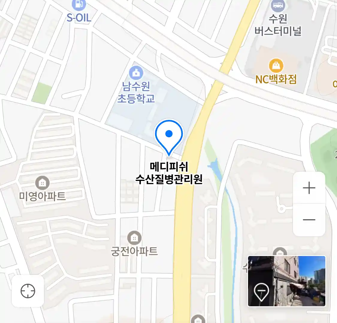 메디피쉬 수산질병관리원 위치