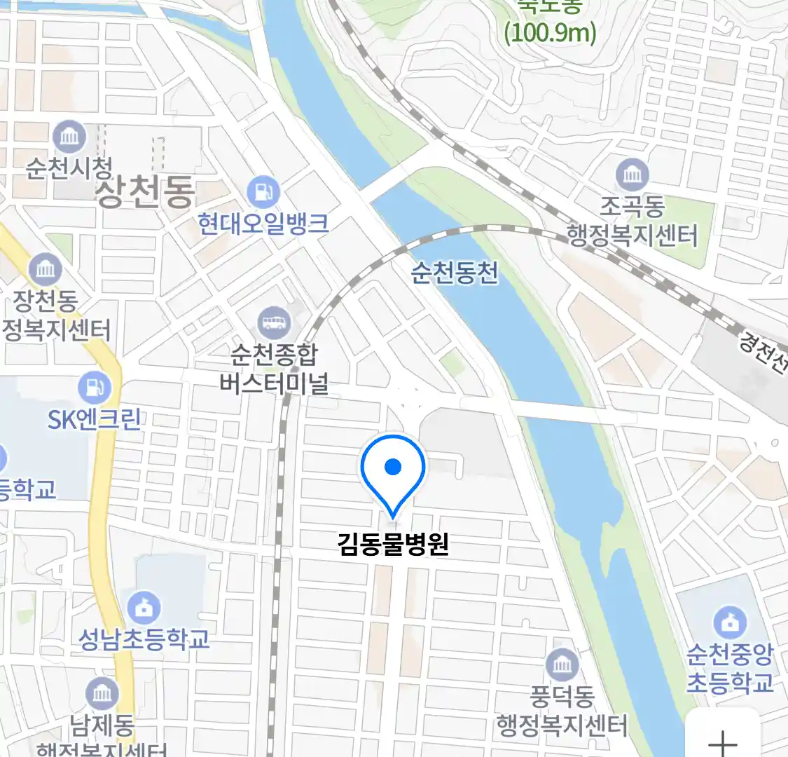 김동물병원 위치