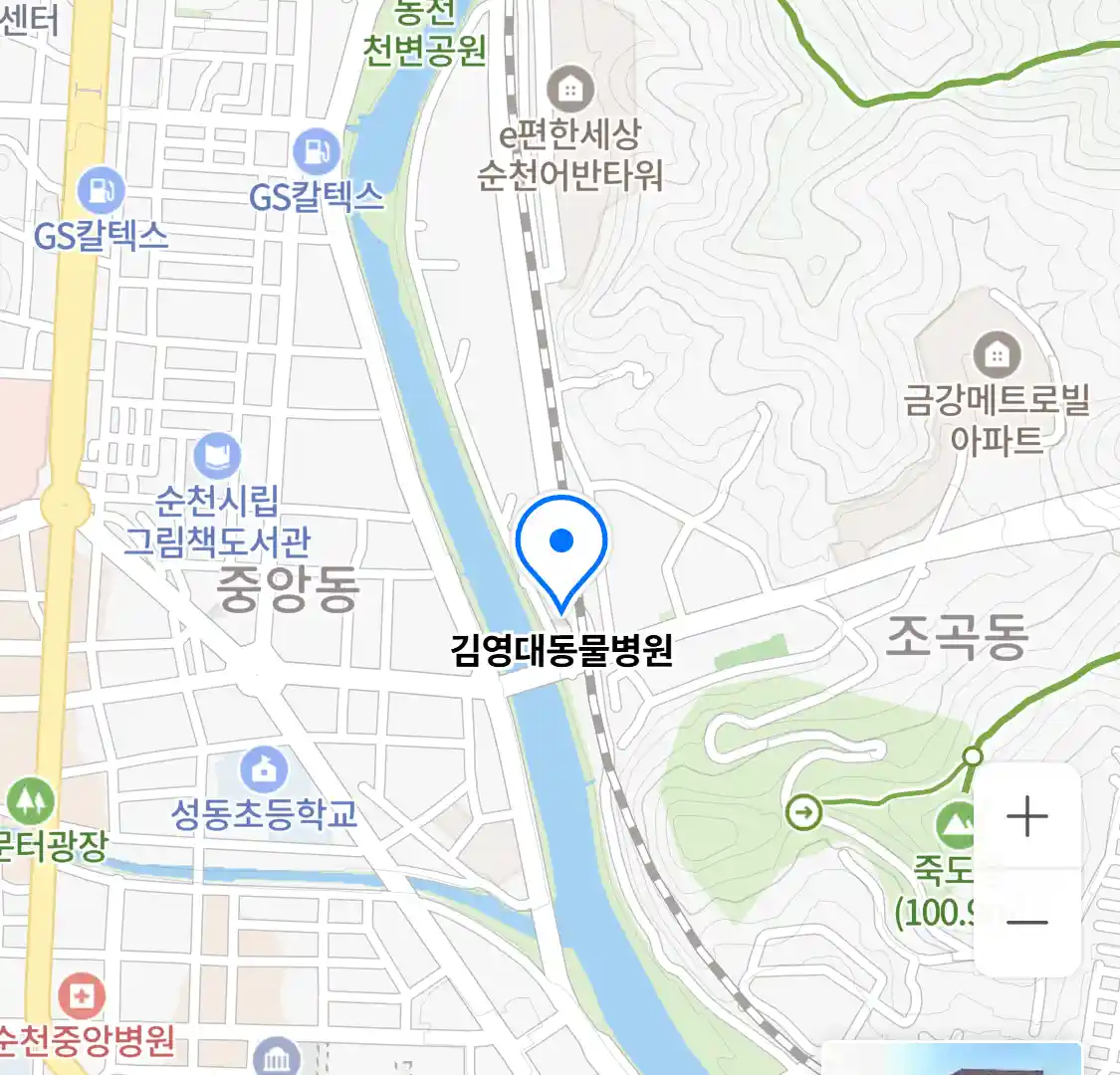 김영대동물병원 위치